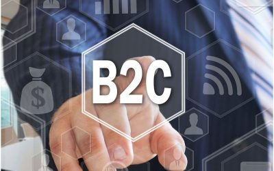 Le développement de portails B2B et B2C en France